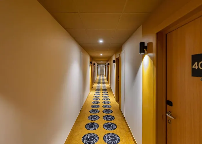 Hotel Ibis Styles Centre 3*